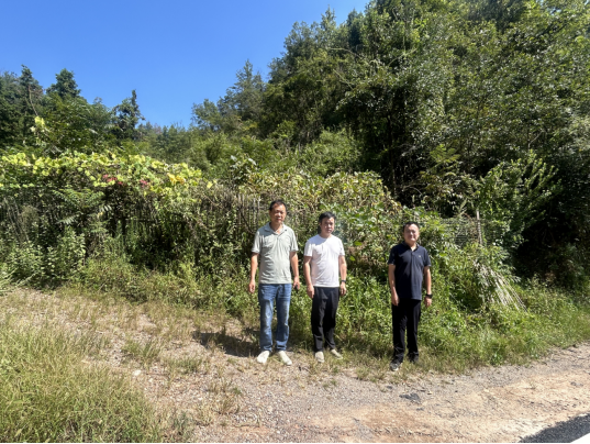 1761012259846462.png 2757b3a8-78e0-4c8f-915a-7e010161e040.png